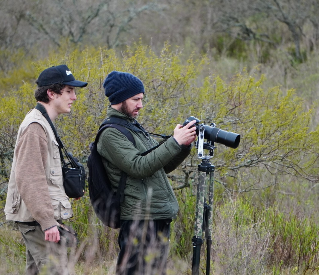 Avistamiento de aves