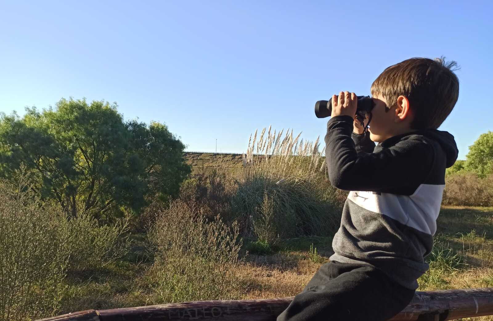 Avistamiento de aves