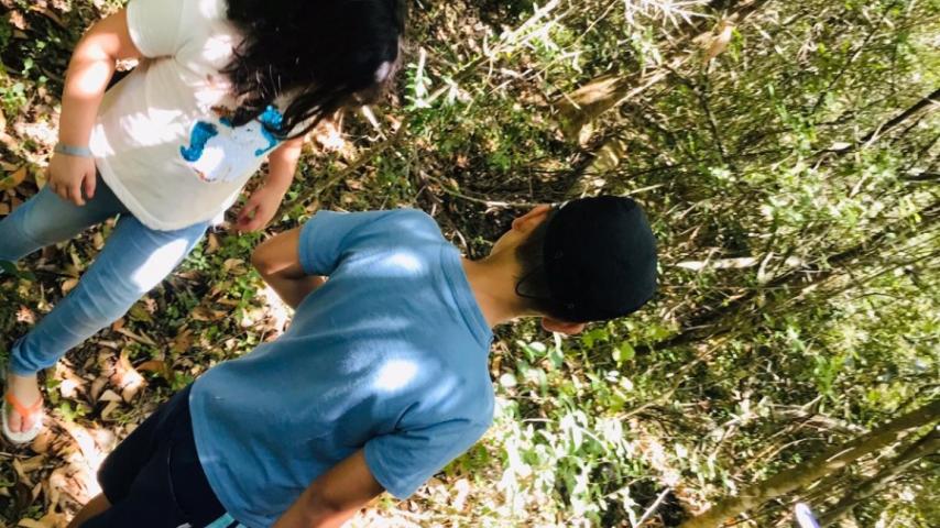 Programación Semanal - 27.01 al 02.02