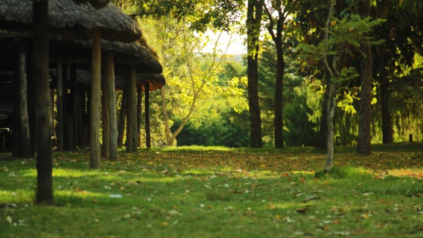 Otoño en Paso Severino
