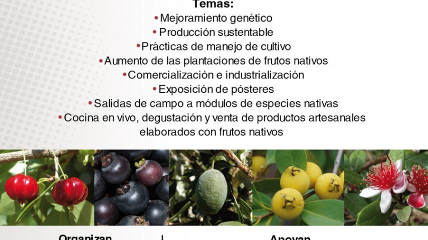 9no encuentro nacional sobre frutos nativos
