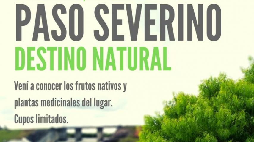 Paso Severino | Destino Natural