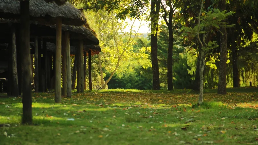 Otoño en Paso Severino