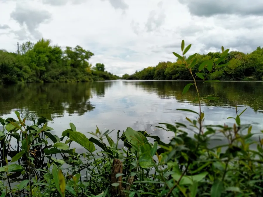 Semana de Turismo | Actividades