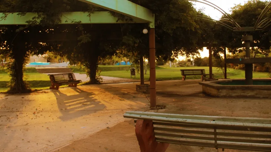 Calendario de actividades junio - julio