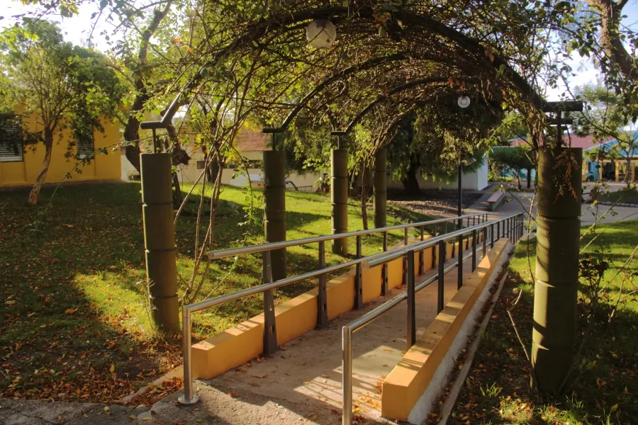 Actividades de agosto