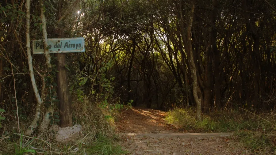 Talleres vivencias y experiencias